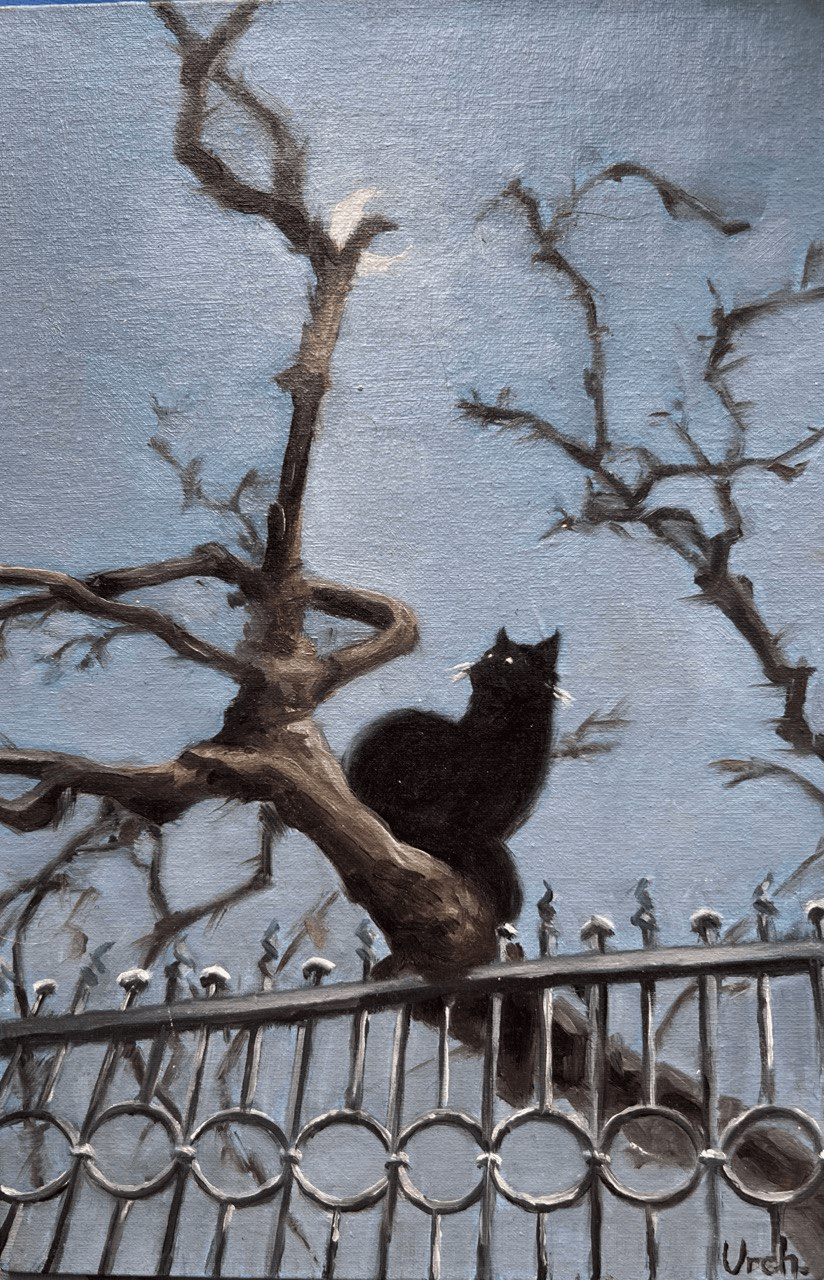 The Black Cat | Edgar Allan Poe