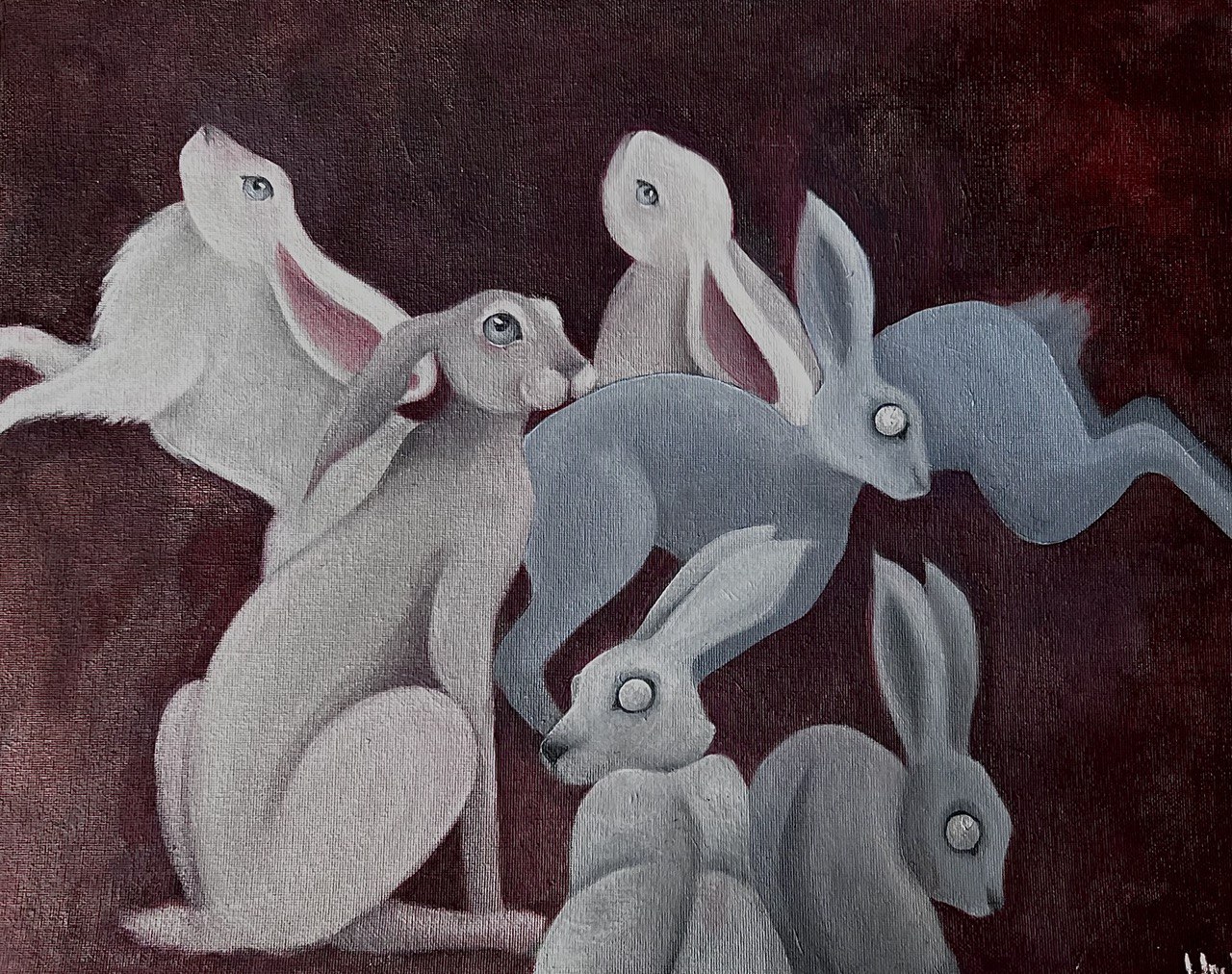 rabbit №499